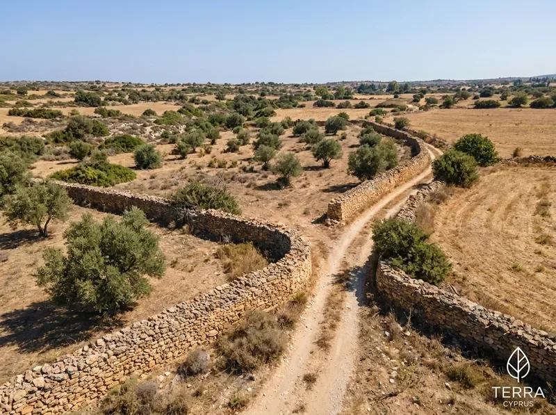 דרך עפר וחומת אבן יבשה בחלקת קרקע כפרית